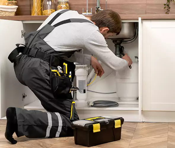 Certified Plumbers for Insinkerator Installation in Temple