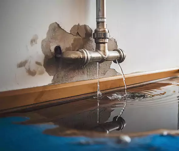 Professional Water Damage Restoration Experts in Temple, TX — Fast, Reliable & Certified
