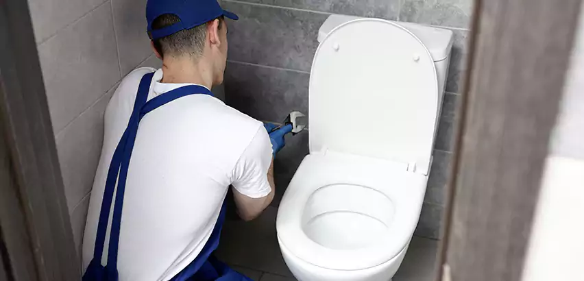 Toilet Lid Replacement in Temple